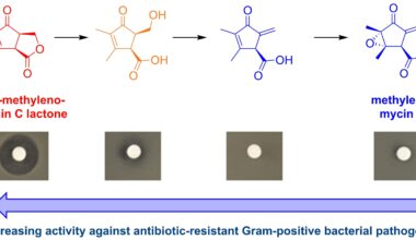 Chemists discover antibiotic for drug-resistant bacteria 'hiding in plain sight'