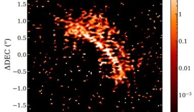 JWST observations discover large debris disk around nearby M dwarf