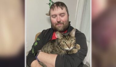 Cat, owner reunite in Houston after months and miles apart