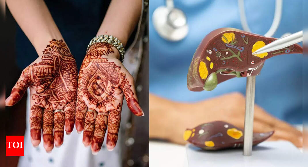 Henna can reverse liver damage: Japanese scientists reveal how a natural plant dye may help reverse fibrosis and repair the liver |