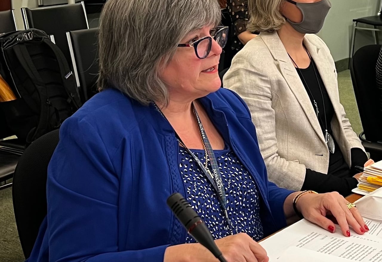 A woman in a blue jacket and glasses sits at a table with documents before her and delivers a presentation. A woman in a mask sits to her right.