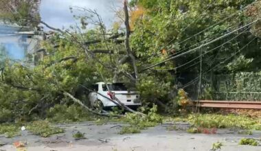 Bronx tree and power lines comes down on car in Country Club