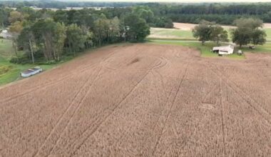 Tariffs, US vs China: NC farmers worried as soybeans become latest victim of trade war