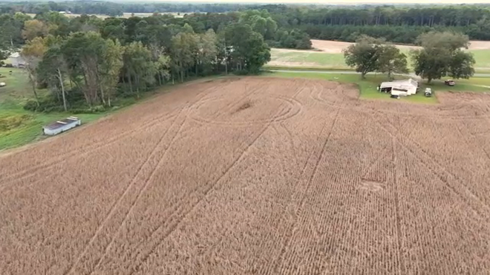 Tariffs, US vs China: NC farmers worried as soybeans become latest victim of trade war