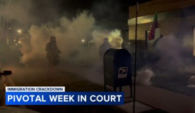 ICE Chicago news: Immigration Enforcement, Border Patrol officials to testify on federal agents' use of force, tear gas Monday