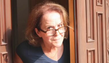 Hundreds of vacant lots owned by Suzie B. Wilson, Chicago's 'worst landowner,' remain unsold