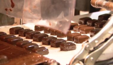 2025 Halloween candy prices soar; factors include Donald Trump tariffs, cocoa shortage and city of Chicago taxes