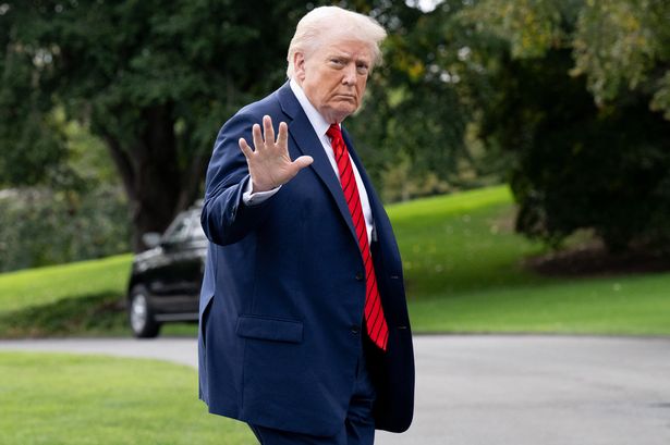 President Donald Trump 