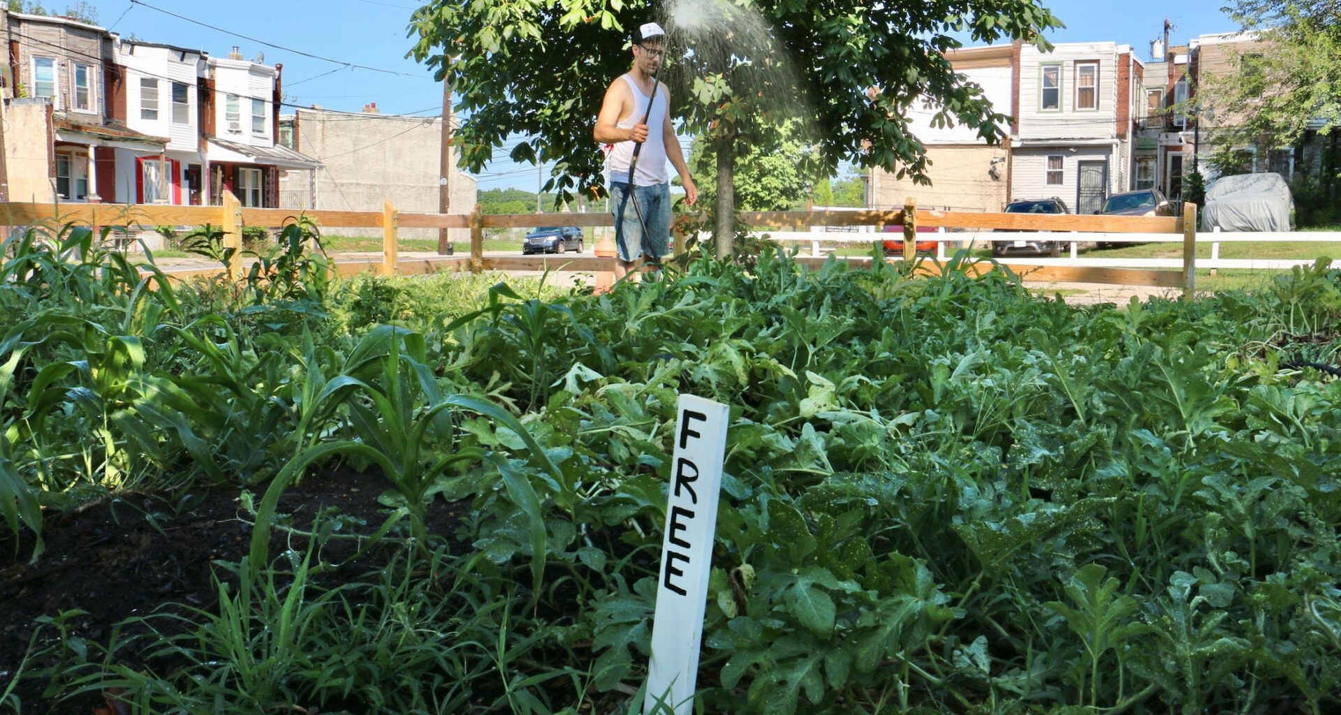 Philadelphia community garden lots bought by Land Bank