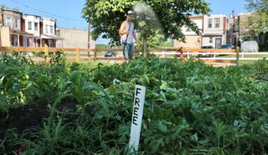 Philadelphia community garden lots bought by Land Bank