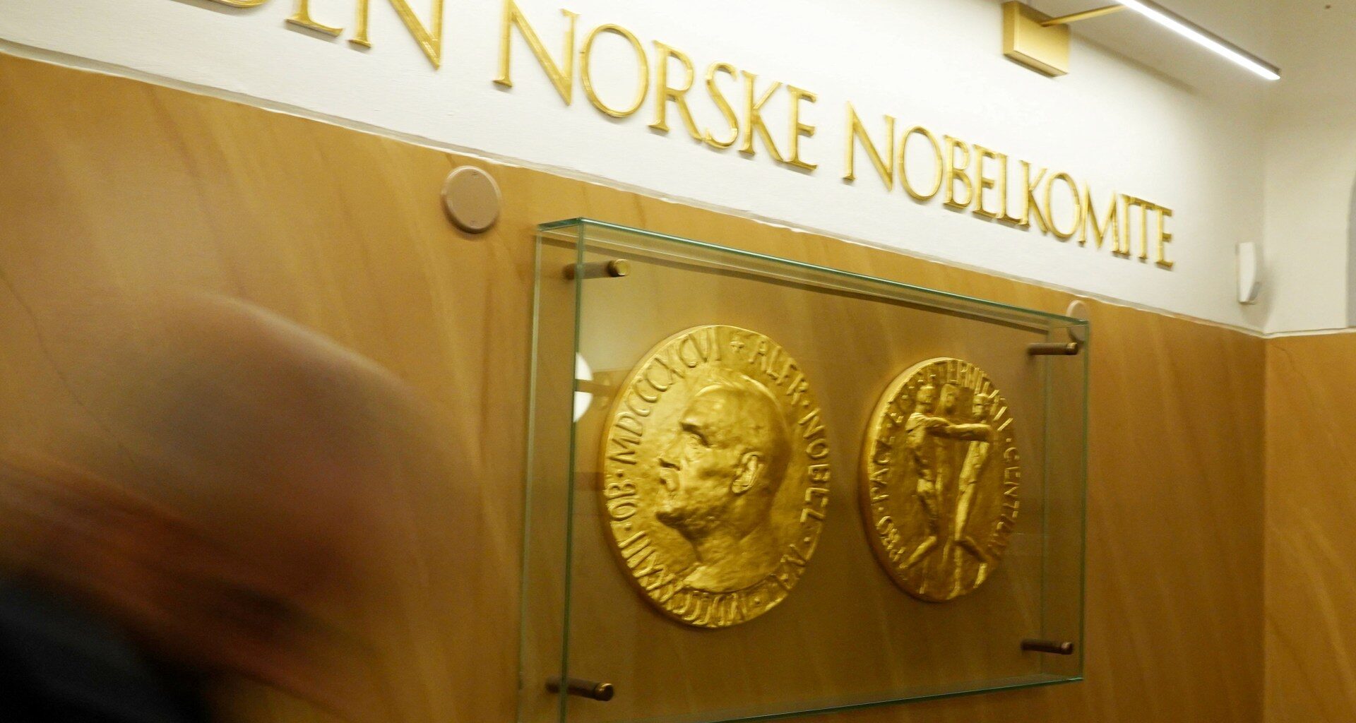 Who are the five Nobel Peace Prize judges deciding whether Trump gets it? | Conflict News