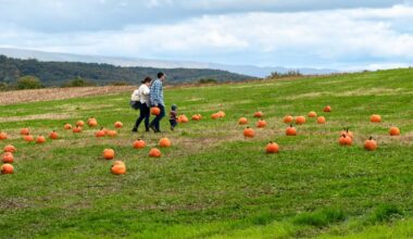 Philly’s top fall activities for families – Metro Philadelphia