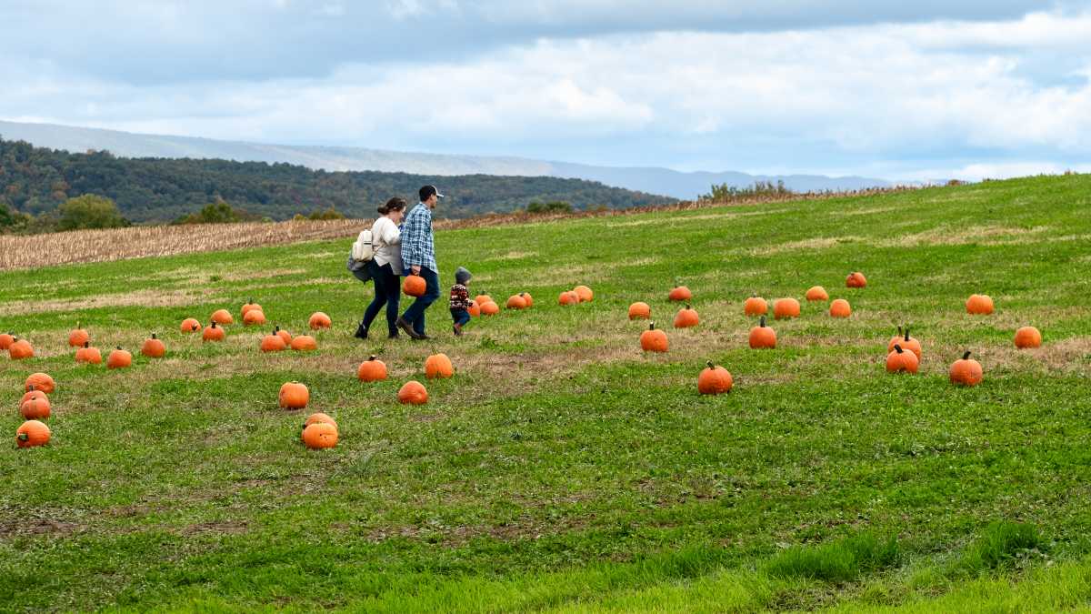 Philly’s top fall activities for families – Metro Philadelphia