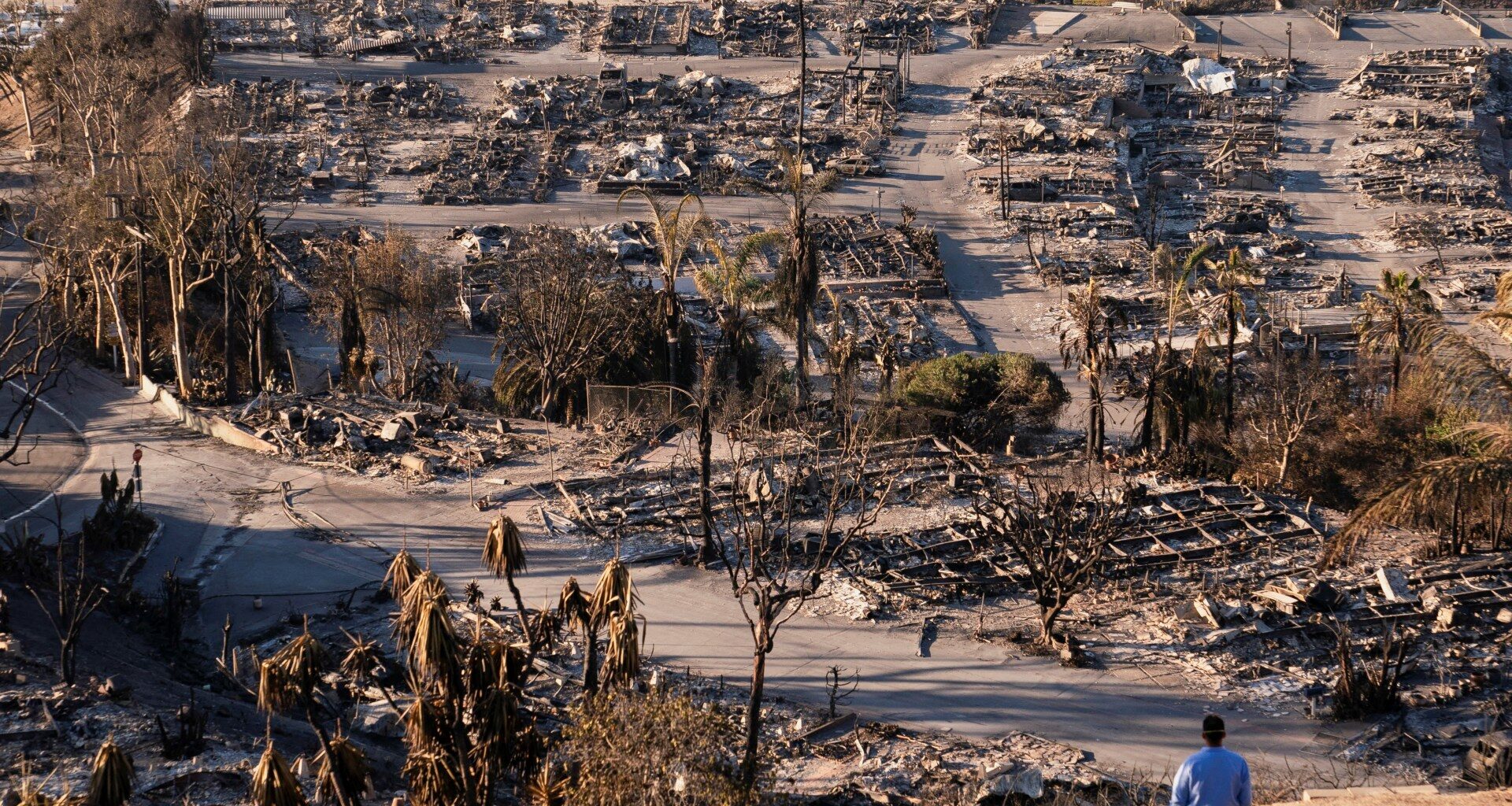Authorities charge man accused of starting deadly LA wildfire | Wildlife News