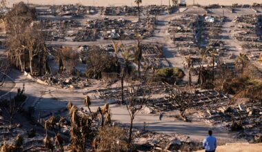 Authorities charge man accused of starting deadly LA wildfire | Wildlife News