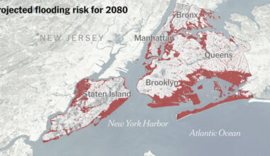 What New York Can Do to Survive Flooding
