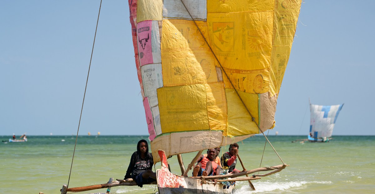 Madagascar’s political and environmental crisis: Could restoring coral reefs help?