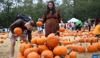 Pumpkin patch attracts visitors in New York, U.S.-Xinhua