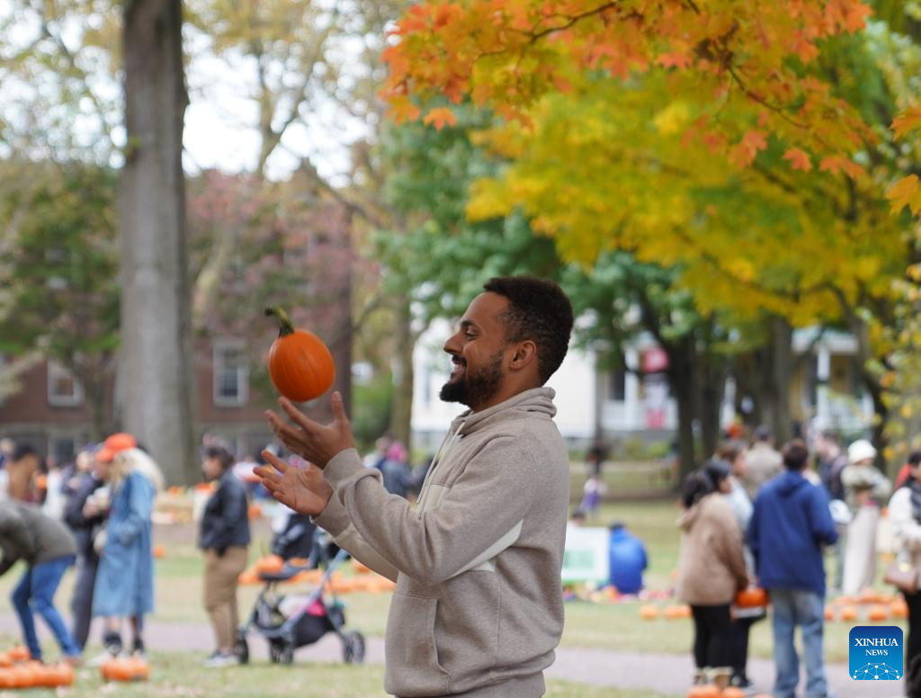 Fall harvest celebrated with various activities in New York-Xinhua