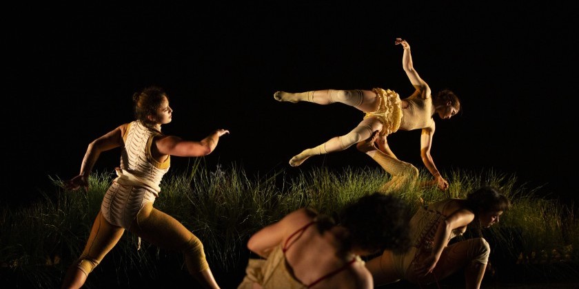 IMPRESSIONS: Hivewild Presents 'with your sweet fragrance' at New York Live Arts