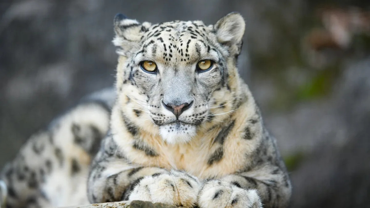 Yahoo lifestyle home