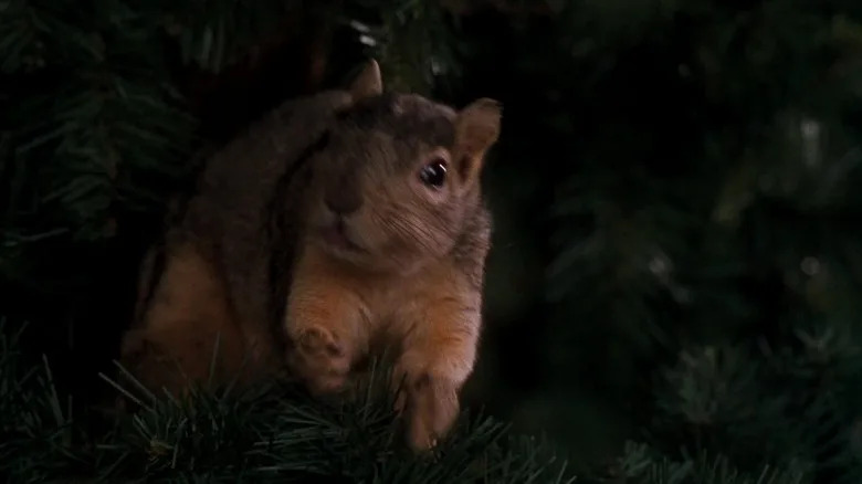 A squirrel in a Christmas tree in National Lampoon's Christmas Vacation