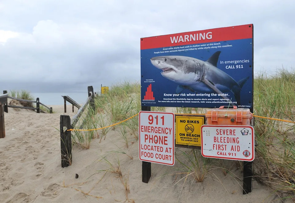 A sign warning of great white sharks was posted at the path to Nauset Beach in Massachusetts earlier this month.