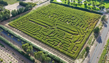 A-Maze-ing Aerial Footage of NASCAR Championship Weekend Corn Maze