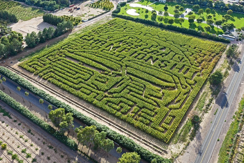 A-Maze-ing Aerial Footage of NASCAR Championship Weekend Corn Maze