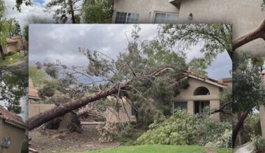 Tempe sawmill repurposing downed trees from microburst