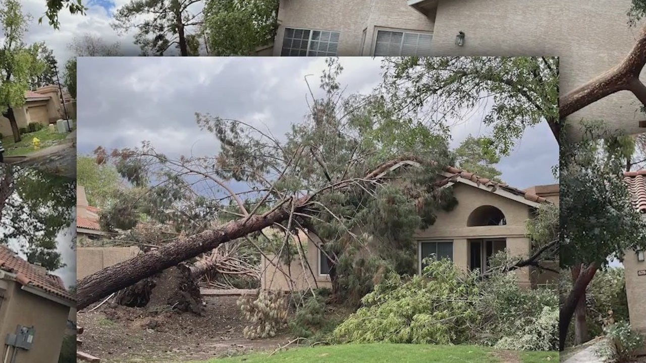 Tempe sawmill repurposing downed trees from microburst
