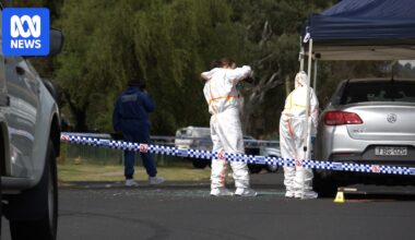 Homicide investigation underway after man's body found in Bega park