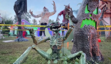 St. Johns County 17-year-old’s elaborate free haunted house becomes Halloween hit
