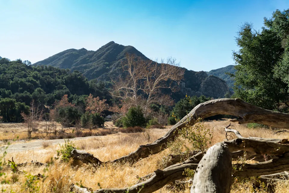 Malibu Creek State Park is home to numerous hiking trails and “incredible rock climbing spots,” says Efron.