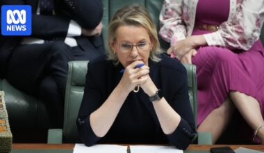 Who's in and who's out in Sussan Ley's new shadow cabinet