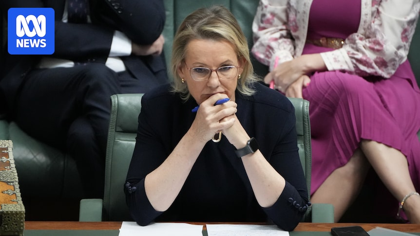 Who's in and who's out in Sussan Ley's new shadow cabinet