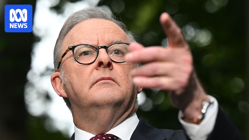 Don't let derangement syndrome throw shade on Anthony Albanese's global wins as steady approach pays off