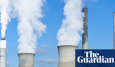 Fears over higher rates as Georgia moves to provide more electricity for AI datacenters | Georgia