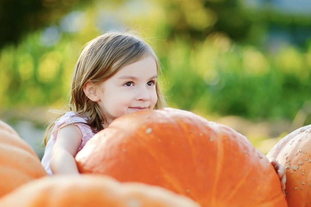 a girl holds a pumpkin