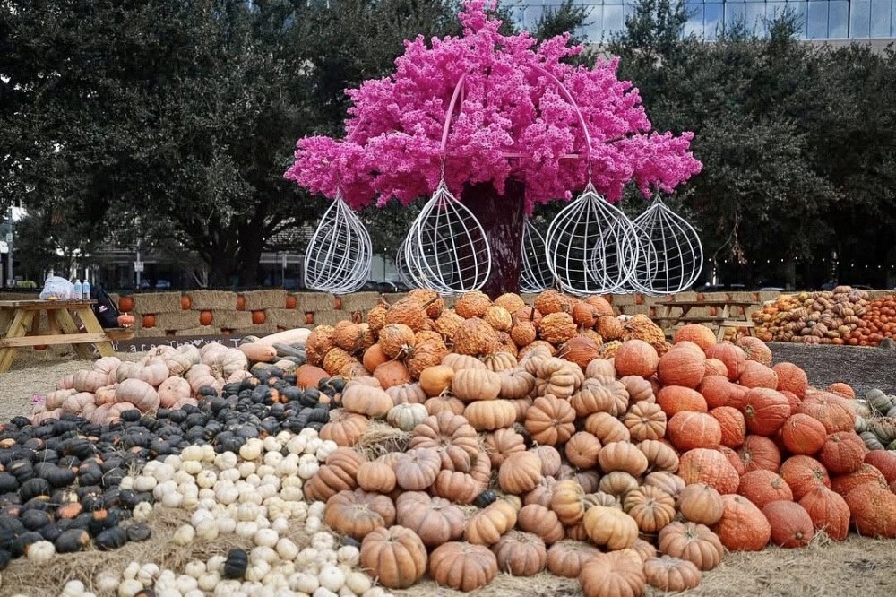 pumpkin fest