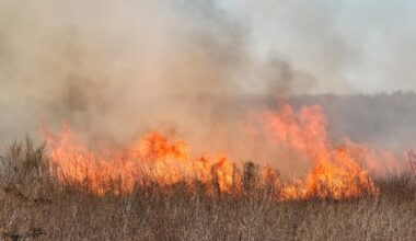 A photo of burning grass