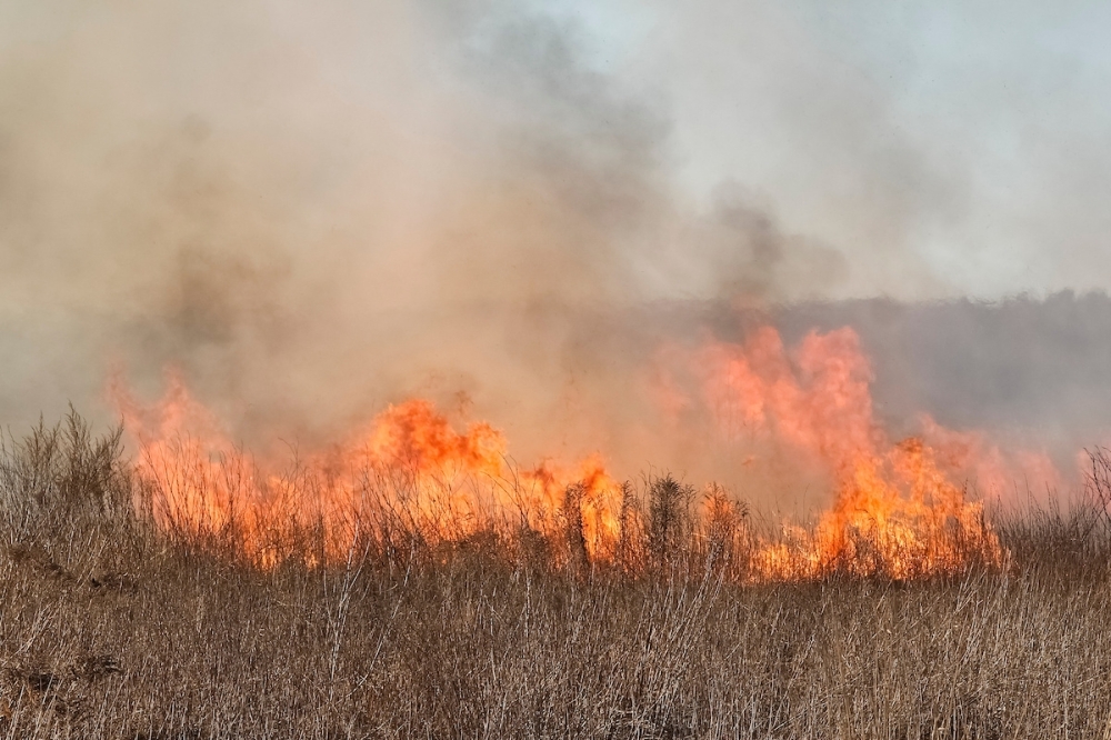 A photo of burning grass