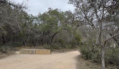 a gravel trail lined with trees