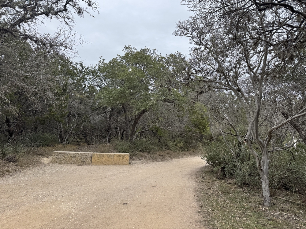 a gravel trail lined with trees