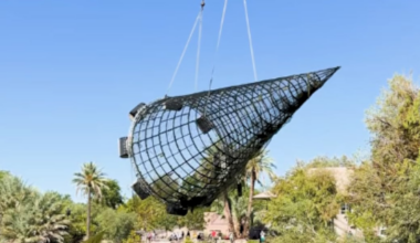 Phoenix Zoo works to restore iconic ZooLights tree after storm damage