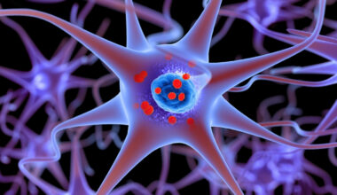 A Tiny Peptide Can Freeze Parkinson's Proteins Before They Turn Toxic : ScienceAlert