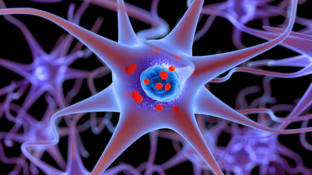 A Tiny Peptide Can Freeze Parkinson's Proteins Before They Turn Toxic : ScienceAlert