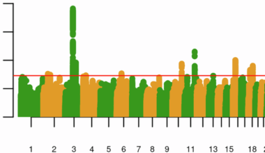The genetics of cannabis lifetime use