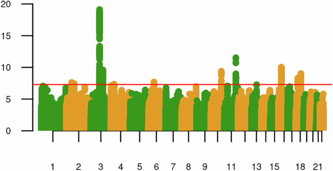 The genetics of cannabis lifetime use