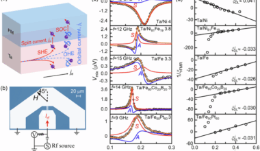 Absence of orbital current torque in Ta/ferromagnet bilayers